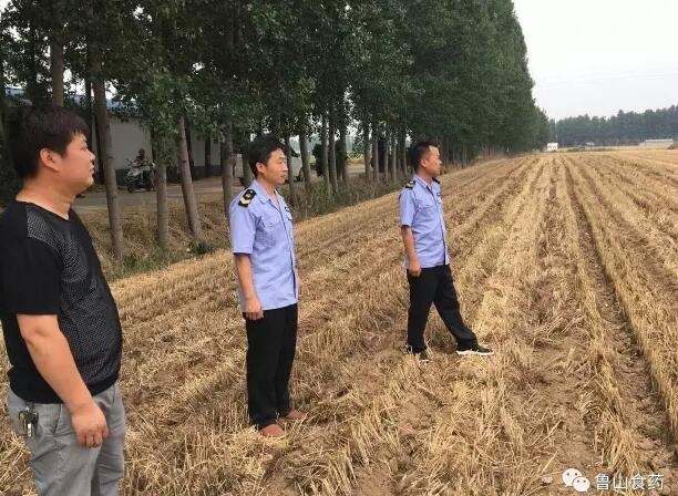 /upload/article/2017/06/01/1766fd66-b1a4-4de0-b9bd-6c194ff35295.jpg /upload/article/2017/06/01/1766fd66-b1a4-4de0-b9bd-6c194ff35295.jpg