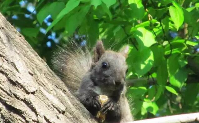 /upload/article/2017/06/28/cfa6b772-d472-48d6-bafb-0a3f17da56bf.jpg /upload/article/2017/06/28/cfa6b772-d472-48d6-bafb-0a3f17da56bf.jpg