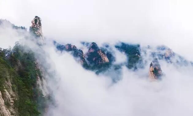 /upload/article/2017/06/30/08b0f512-f7be-4f81-956c-cc0c86f446f5.jpg /upload/article/2017/06/30/08b0f512-f7be-4f81-956c-cc0c86f446f5.jpg