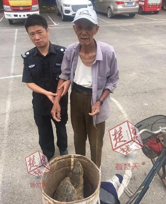 /upload/article/2017/07/01/cadcb076-d1c0-443a-bee0-d10a65fe9d1e.jpg /upload/article/2017/07/01/cadcb076-d1c0-443a-bee0-d10a65fe9d1e.jpg