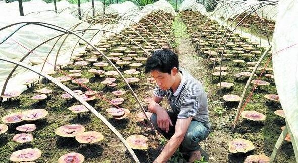 /upload/article/2017/07/02/46fe55b6-fd94-4ed4-8f57-31e1ad261a57.jpg /upload/article/2017/07/02/46fe55b6-fd94-4ed4-8f57-31e1ad261a57.jpg