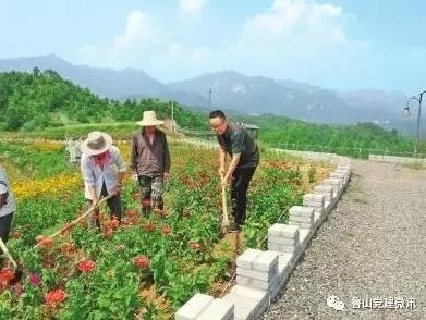 /upload/article/2017/07/09/c7c353cf-afbf-4903-9853-ee36ffe0b62d.jpg /upload/article/2017/07/09/c7c353cf-afbf-4903-9853-ee36ffe0b62d.jpg