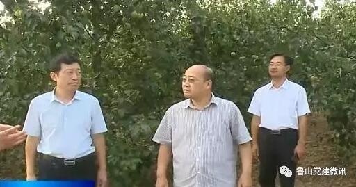 /upload/article/2017/07/28/9a2929b8-b26c-4fb7-a81b-d7e693948de4.jpg /upload/article/2017/07/28/9a2929b8-b26c-4fb7-a81b-d7e693948de4.jpg