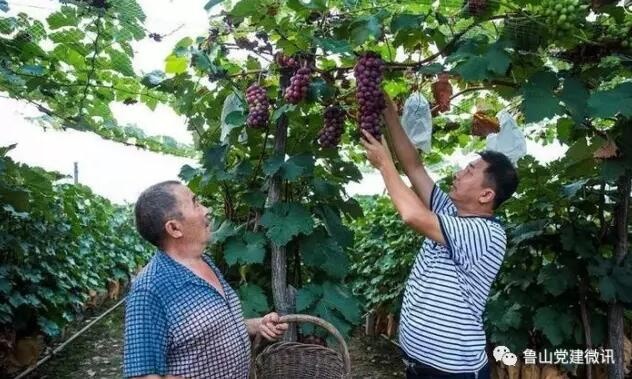 /upload/article/2017/08/20/c89ec9ca-d2f6-4e65-983c-cee727445d93.jpg /upload/article/2017/08/20/c89ec9ca-d2f6-4e65-983c-cee727445d93.jpg