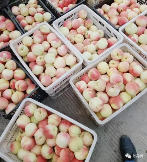 /upload/article/2017/08/23/b90ca253-04aa-4297-b028-8e3d5aa1f9f5.jpg /upload/article/2017/08/23/b90ca253-04aa-4297-b028-8e3d5aa1f9f5.jpg