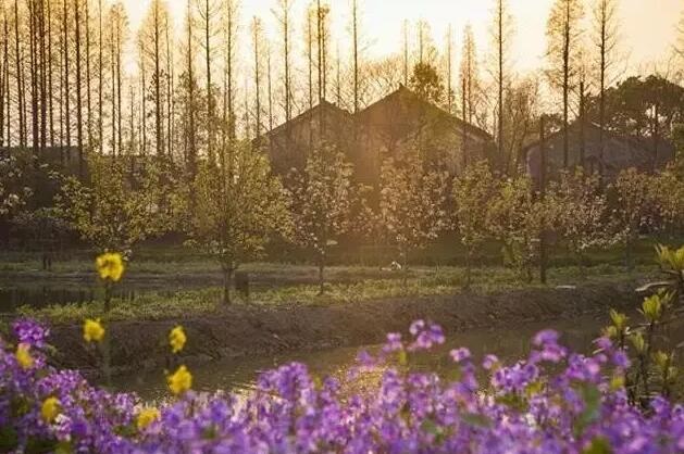 /upload/article/2017/09/05/0c4ca58e-0114-4631-90c3-4ab05fd5b5a7.jpg /upload/article/2017/09/05/0c4ca58e-0114-4631-90c3-4ab05fd5b5a7.jpg