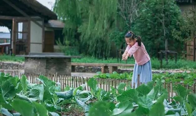 /upload/article/2017/09/05/2d3ccc7b-9263-4fa3-99e0-f0d1be28b4f3.jpg /upload/article/2017/09/05/2d3ccc7b-9263-4fa3-99e0-f0d1be28b4f3.jpg