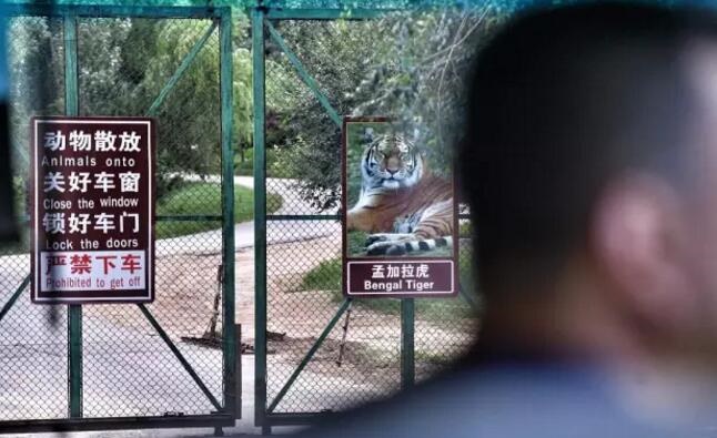 /upload/article/2017/09/05/6cc5052d-0615-4657-8b69-cca21aa6ebc0.jpg /upload/article/2017/09/05/6cc5052d-0615-4657-8b69-cca21aa6ebc0.jpg