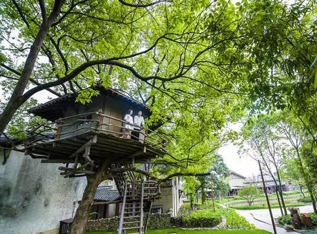 /upload/article/2017/09/05/ca567b35-7f03-4c05-b849-3e168bac52e1.jpg /upload/article/2017/09/05/ca567b35-7f03-4c05-b849-3e168bac52e1.jpg