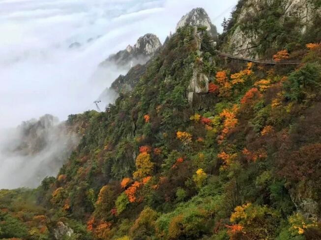 /upload/article/2017/10/14/1f22bb8d-c5ab-4f64-b54b-5554c9c65f2e.jpg /upload/article/2017/10/14/1f22bb8d-c5ab-4f64-b54b-5554c9c65f2e.jpg