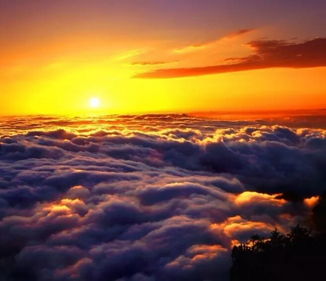 /upload/article/2017/10/14/a1029665-d67e-4b0f-804b-18ba81e2ee3d.jpg /upload/article/2017/10/14/a1029665-d67e-4b0f-804b-18ba81e2ee3d.jpg