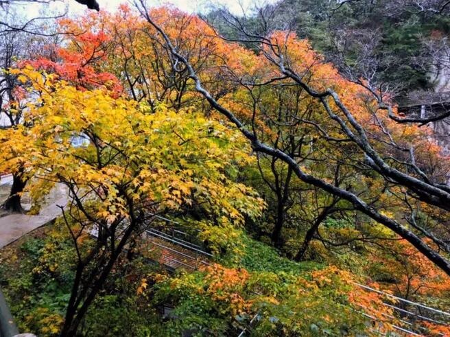 /upload/article/2017/10/14/b5cbf44a-5c28-4db5-8ae6-4a4d1f38111c.jpg /upload/article/2017/10/14/b5cbf44a-5c28-4db5-8ae6-4a4d1f38111c.jpg