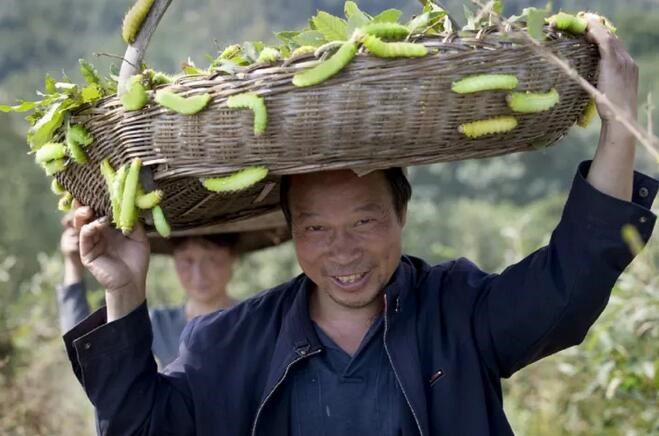 /upload/article/2017/10/17/3c3b70df-685a-48b1-9372-96b5157e8998.jpg /upload/article/2017/10/17/3c3b70df-685a-48b1-9372-96b5157e8998.jpg