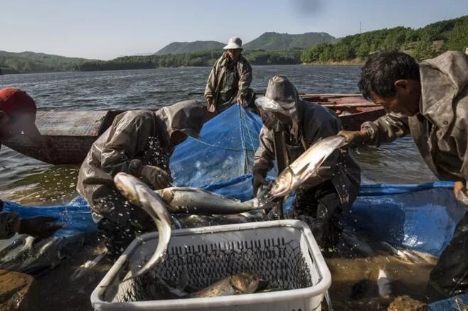 /upload/article/2017/10/17/6a61caad-0bd0-4fc4-9b5a-55ee3a3e21af.jpg /upload/article/2017/10/17/6a61caad-0bd0-4fc4-9b5a-55ee3a3e21af.jpg