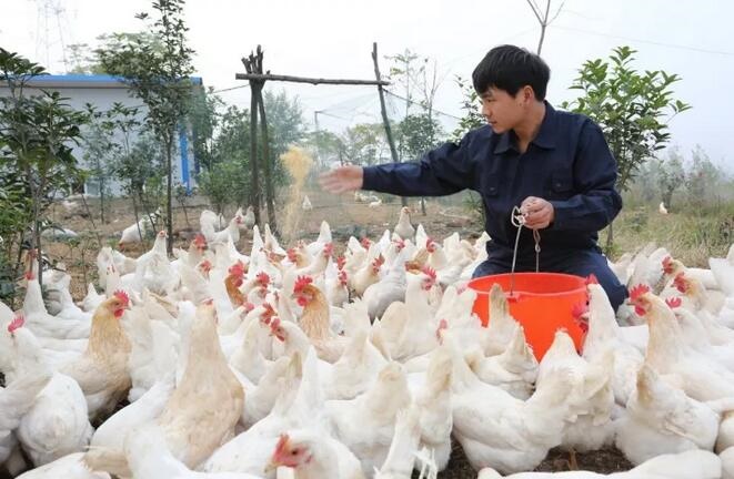 /upload/article/2017/10/17/e7719c0d-9f69-433f-be28-cc8fa99526d9.jpg /upload/article/2017/10/17/e7719c0d-9f69-433f-be28-cc8fa99526d9.jpg