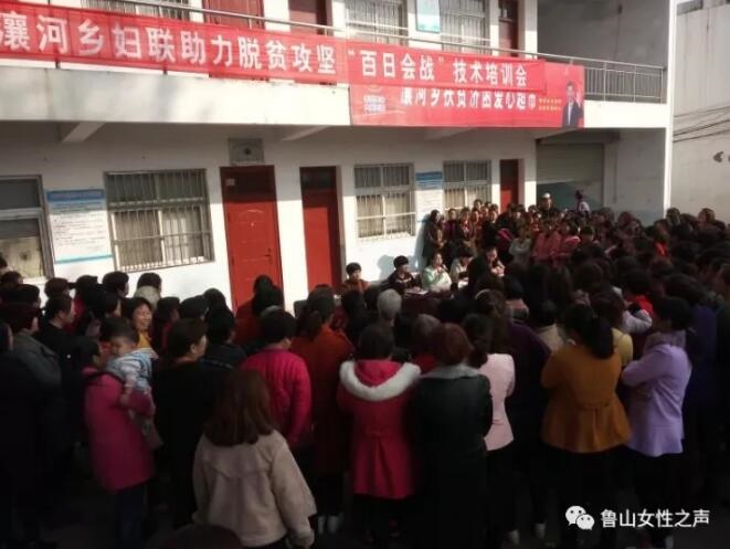 /upload/article/2017/11/02/ed9b3fac-7a5e-4109-887b-025eda659a06.jpg /upload/article/2017/11/02/ed9b3fac-7a5e-4109-887b-025eda659a06.jpg