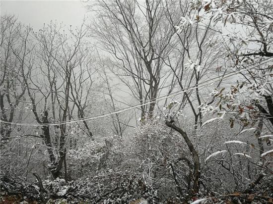 /upload/article/2017/11/26/46553e72-ed35-4c4f-8ac7-b5cb1abd55ea.jpg /upload/article/2017/11/26/46553e72-ed35-4c4f-8ac7-b5cb1abd55ea.jpg