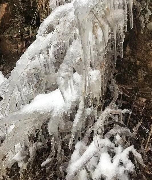 /upload/article/2017/12/18/6bf30228-9969-457d-9034-fb52e9bc1e37.jpg /upload/article/2017/12/18/6bf30228-9969-457d-9034-fb52e9bc1e37.jpg