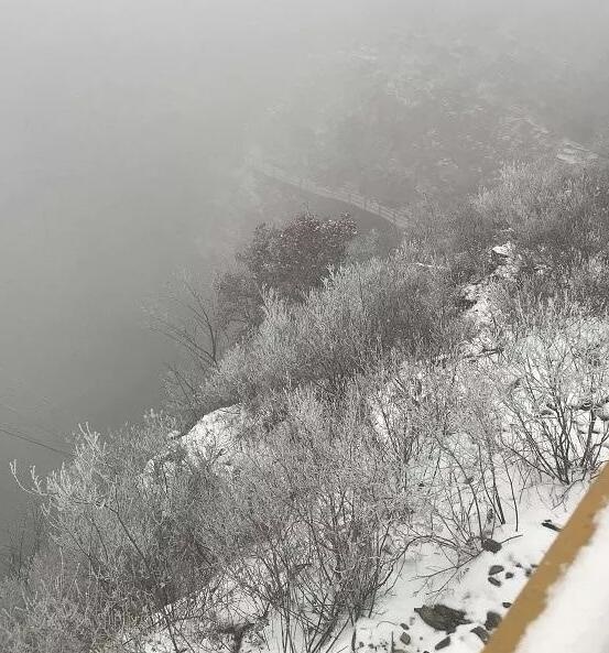 /upload/article/2017/12/18/a4c3dd03-1565-4de6-97f9-715113cdffec.jpg /upload/article/2017/12/18/a4c3dd03-1565-4de6-97f9-715113cdffec.jpg