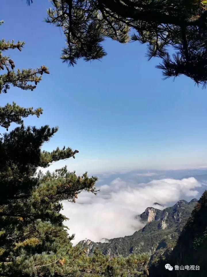 /upload/article/2018/01/26/5ad81555-324c-430f-b277-9ceec411f2e1.jpg /upload/article/2018/01/26/5ad81555-324c-430f-b277-9ceec411f2e1.jpg