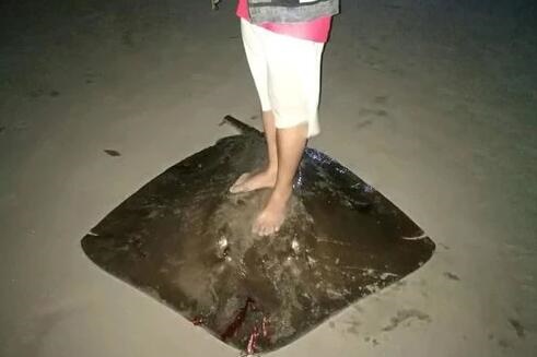 /upload/article/2018/02/25/035e0d47-1791-43c5-ba9d-3c6b8b2b3dc1.jpg /upload/article/2018/02/25/035e0d47-1791-43c5-ba9d-3c6b8b2b3dc1.jpg