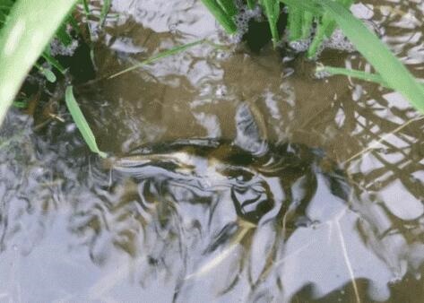 /upload/article/2018/02/25/116c1ba9-5873-4080-9214-e04ed65a4ade.jpg /upload/article/2018/02/25/116c1ba9-5873-4080-9214-e04ed65a4ade.jpg