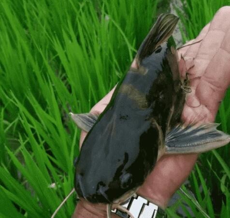 /upload/article/2018/02/25/4706ba39-c444-455d-8b3c-bff074615957.jpg /upload/article/2018/02/25/4706ba39-c444-455d-8b3c-bff074615957.jpg