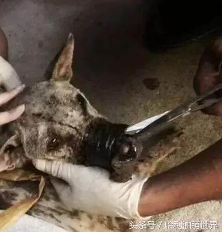 /upload/article/2018/02/25/710978dd-ae44-467f-bd62-18bcb8e1705c.jpg /upload/article/2018/02/25/710978dd-ae44-467f-bd62-18bcb8e1705c.jpg