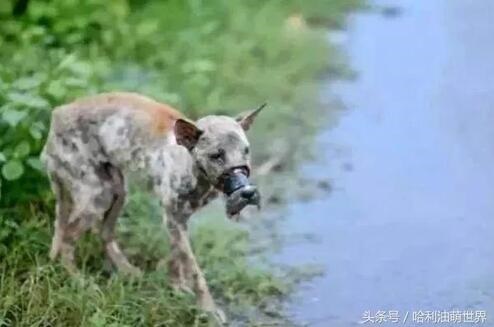 /upload/article/2018/02/25/8b1f6733-5d2d-40bc-ba60-52315cf43402.jpg /upload/article/2018/02/25/8b1f6733-5d2d-40bc-ba60-52315cf43402.jpg