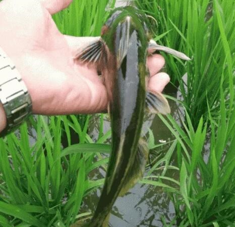 /upload/article/2018/02/25/94c39c3a-4983-4c26-a8ad-1abf4d25df65.jpg /upload/article/2018/02/25/94c39c3a-4983-4c26-a8ad-1abf4d25df65.jpg