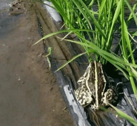 /upload/article/2018/02/25/a8f89072-c87e-46d9-8c10-d3d8b7a86fb6.jpg /upload/article/2018/02/25/a8f89072-c87e-46d9-8c10-d3d8b7a86fb6.jpg