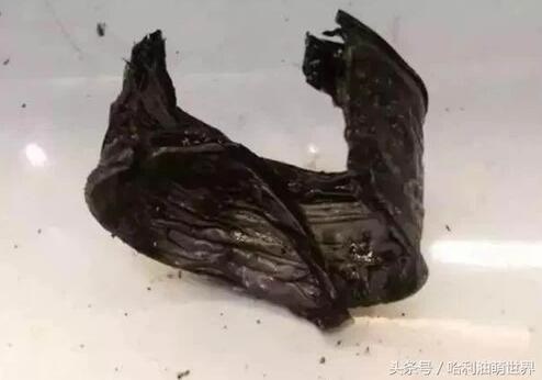 /upload/article/2018/02/25/be93cd2f-49e6-42ec-9139-e2826ff5d956.jpg /upload/article/2018/02/25/be93cd2f-49e6-42ec-9139-e2826ff5d956.jpg