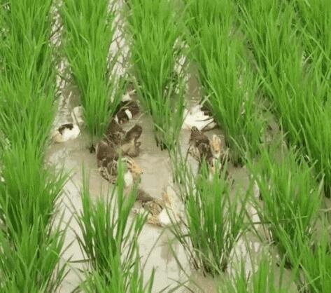 /upload/article/2018/02/25/f618f483-05c3-493f-bb2d-c946cceeee3f.jpg /upload/article/2018/02/25/f618f483-05c3-493f-bb2d-c946cceeee3f.jpg