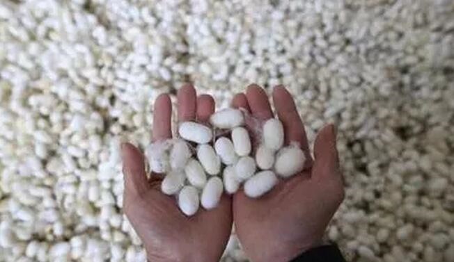 /upload/article/2018/03/26/7db9c16e-ac64-4fbe-9cd7-a9f91d18baf9.jpg /upload/article/2018/03/26/7db9c16e-ac64-4fbe-9cd7-a9f91d18baf9.jpg