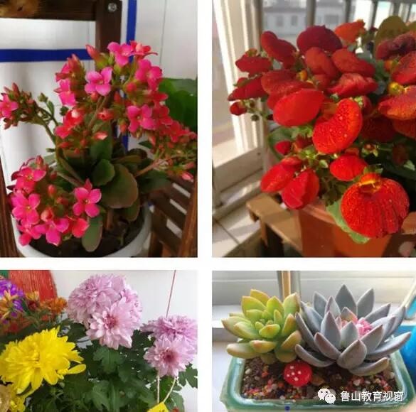 /upload/article/2018/03/27/2474a689-1393-4a27-9c45-51820a833a9c.jpg /upload/article/2018/03/27/2474a689-1393-4a27-9c45-51820a833a9c.jpg