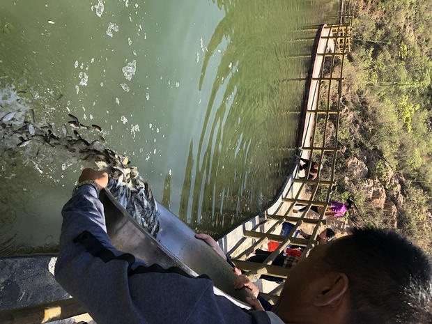 /upload/article/2018/04/21/584e0643-f4f9-4176-9a63-77f65ff90513.jpg /upload/article/2018/04/21/584e0643-f4f9-4176-9a63-77f65ff90513.jpg