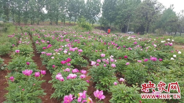 /upload/article/2018/04/28/fd3fa7ec-ca06-4e5c-a08f-96b23ed503b8.jpg /upload/article/2018/04/28/fd3fa7ec-ca06-4e5c-a08f-96b23ed503b8.jpg