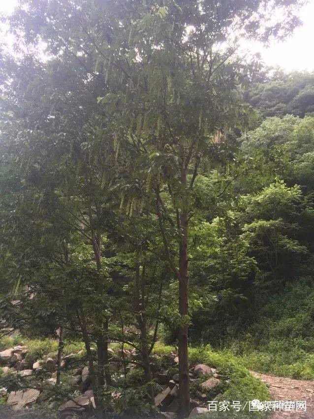 /upload/article/2018/05/29/24d514de-973e-4767-899b-5e7db3d15b60.jpg /upload/article/2018/05/29/24d514de-973e-4767-899b-5e7db3d15b60.jpg