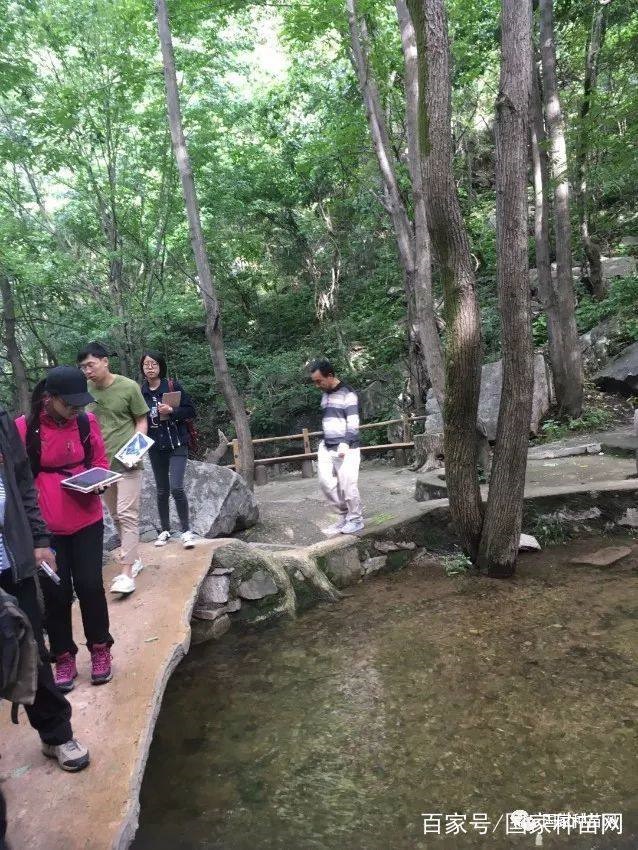 /upload/article/2018/05/29/93407c7e-8d29-4189-80f0-e1ef92b88e9c.jpg /upload/article/2018/05/29/93407c7e-8d29-4189-80f0-e1ef92b88e9c.jpg