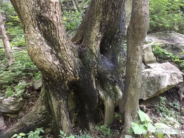 /upload/article/2018/05/29/e0e2052e-5633-4512-a883-825270a03625.jpg /upload/article/2018/05/29/e0e2052e-5633-4512-a883-825270a03625.jpg