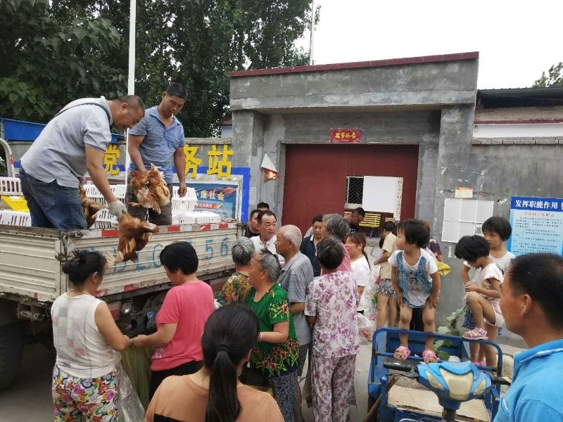 /upload/article/2018/06/11/88addc43-f447-4247-8e28-19640686486e.jpg /upload/article/2018/06/11/88addc43-f447-4247-8e28-19640686486e.jpg