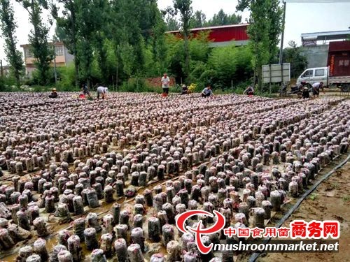 /upload/article/2018/06/13/2b2207d3-ae01-4d31-b4d7-f82f27af9c6d.jpg /upload/article/2018/06/13/2b2207d3-ae01-4d31-b4d7-f82f27af9c6d.jpg