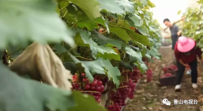 /upload/article/2018/08/28/ed3823f5-ec01-47e2-8d35-1e58a775eab9.jpg /upload/article/2018/08/28/ed3823f5-ec01-47e2-8d35-1e58a775eab9.jpg