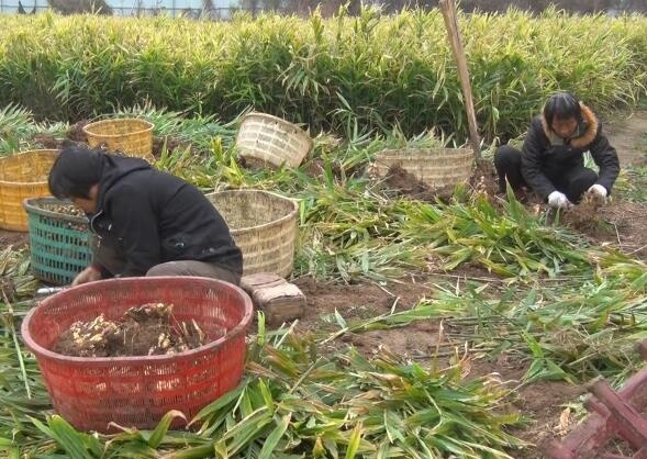 /upload/article/2018/11/22/ed6bd141-7cbb-4e3a-9585-ba617bf9c42f.jpg /upload/article/2018/11/22/ed6bd141-7cbb-4e3a-9585-ba617bf9c42f.jpg