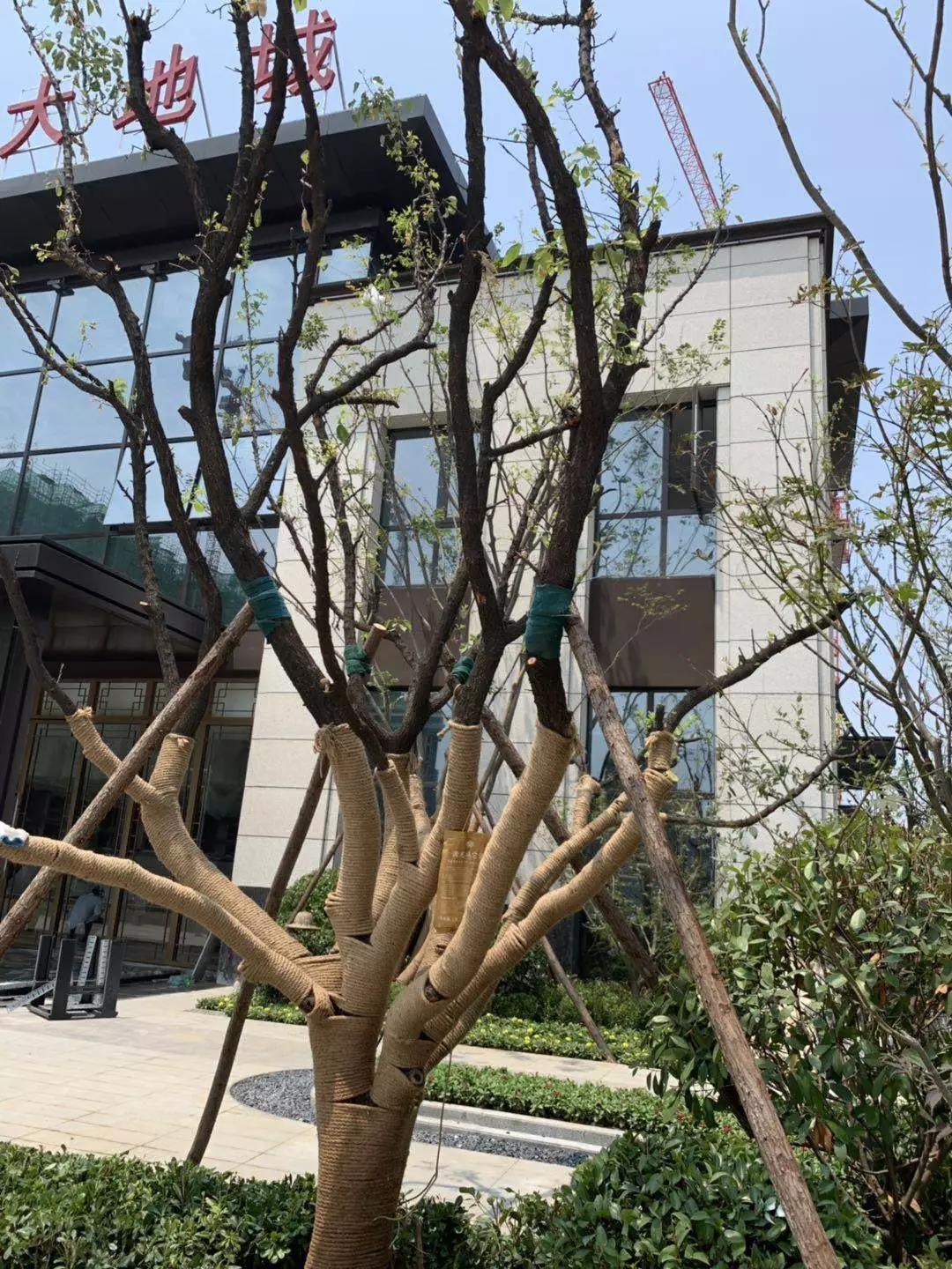 /upload/article/2019/06/13/b0118b3c-e580-4815-8fd1-ad63c6090c0f.jpg /upload/article/2019/06/13/b0118b3c-e580-4815-8fd1-ad63c6090c0f.jpg