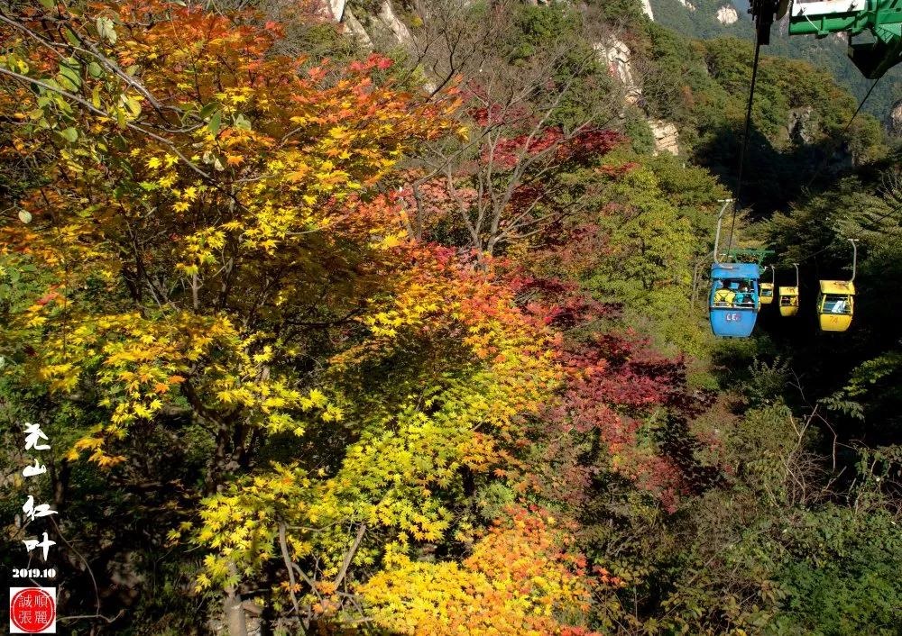 /upload/article/2019/11/05/6f5f3f23-2916-4d0a-81e0-af63324770c8.jpg /upload/article/2019/11/05/6f5f3f23-2916-4d0a-81e0-af63324770c8.jpg