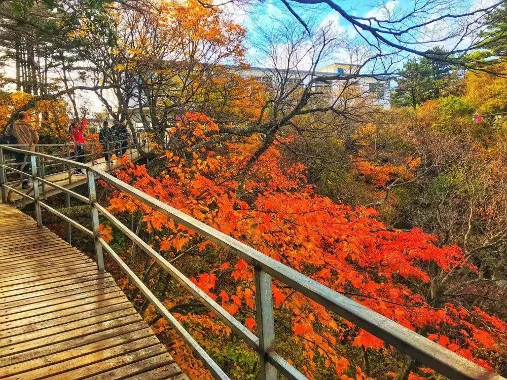 /upload/article/2019/11/05/d4fb5f6e-e55d-4b8a-b5c6-6597fc91cf82.jpg /upload/article/2019/11/05/d4fb5f6e-e55d-4b8a-b5c6-6597fc91cf82.jpg