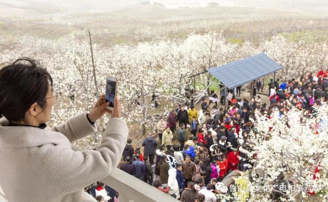 /upload/article/2021/03/22/895e34a3-debb-4f1a-90da-690c7bf00bd6.jpg /upload/article/2021/03/22/895e34a3-debb-4f1a-90da-690c7bf00bd6.jpg