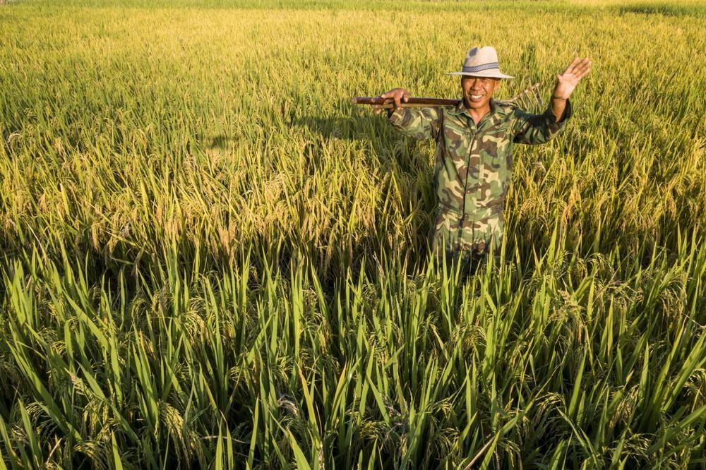 /upload/article/2021/09/17/5b047420-136a-4c84-a709-5aa4c1b6b1c4.jpg /upload/article/2021/09/17/5b047420-136a-4c84-a709-5aa4c1b6b1c4.jpg