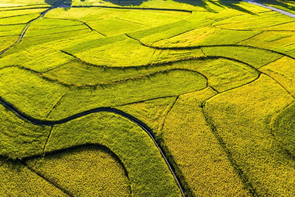 /upload/article/2021/09/17/9fc7450c-11bd-4334-a8b7-9434195591da.jpg /upload/article/2021/09/17/9fc7450c-11bd-4334-a8b7-9434195591da.jpg